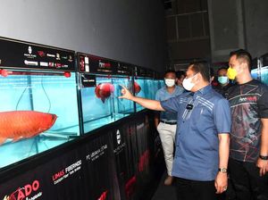 Di Pameran Arwana, Ketua MPR Dorong Ekspor Ikan Hias