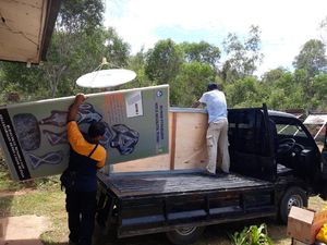 Di Papua Mobil Pick Up Punya Panggilan Khusus Yakni Belakos Di Papua Mobil Pick Up Punya Panggilan Khusus Yakni Belakos