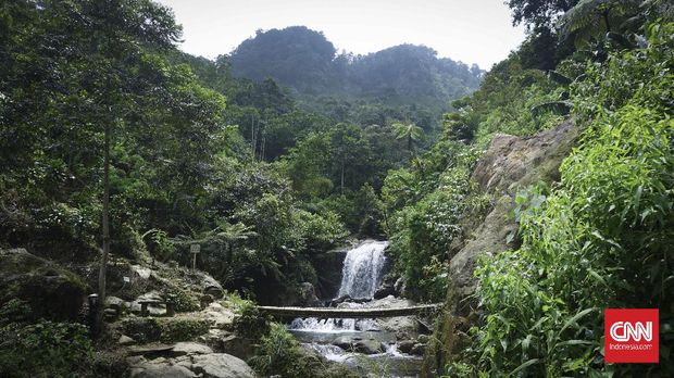 GALFOT TREKKING TIGA CURUG Jalur trekking menuju Tiga Curug. curug hordeng . CNNIndonesia/Elise Dwi Ratnasari
