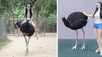 Seniman Ini Bikin Patung dari Foto Hewan yang Viral, Gemas!