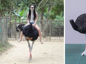 Seniman Ini Bikin Patung dari Foto Hewan yang Viral, Gemas!