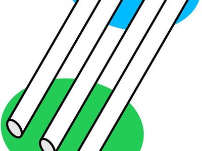 Ilusi Optik Klasik Ini Membingungkan Mata dan Pikiran