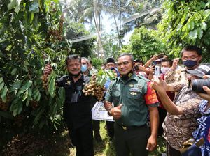 Mentan: Kita Dorong Terus Kawasan Buah Lokal Bisa Dikembangkan Mentan: Kita Dorong Terus Kawasan Buah Lokal Bisa Dikembangkan