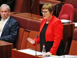 Menteri Australia Minta Maaf Menyebut Mantan Stafnya Sapi Betina Pembohong