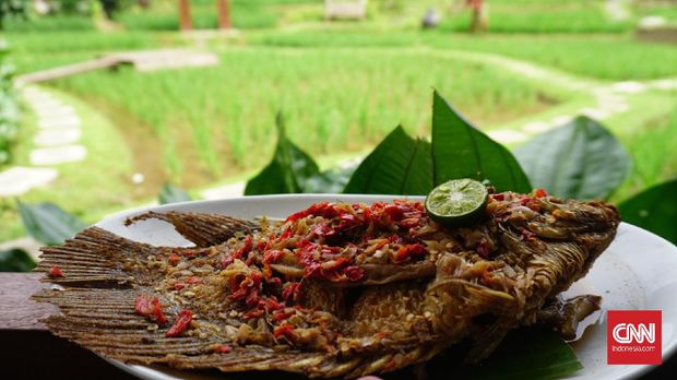 1. Pasar Bersih Sentul City  Bubur Taking
Kayu Mas, kafe sekaligus toko organik
Suasana food court  2. Antology Coffee and Tea  Kedai kopi dengan pandangan telaga.  3. Restoran Sawah Segar Sentul  Restoran semi outdoor dengan konsep makan di saung tengah sawah.  4. Tad's Delight  Kafe di kawasan Taman Budaya Sentul.