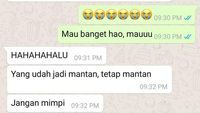 7 Chat Jomblo Halu ke Mantan, Endingnya Bikin Meringis