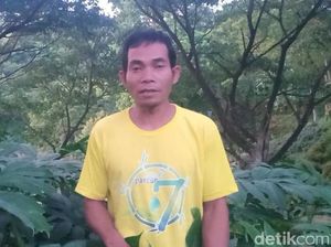 Yang Ingin Bertanam Porang Tapi Masih Awam, Datang Saja ke Madiun