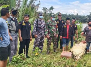 Libatkan Pawang, Begini Pencarian Bocah di Kaltim Diterkam Buaya 6 Meter