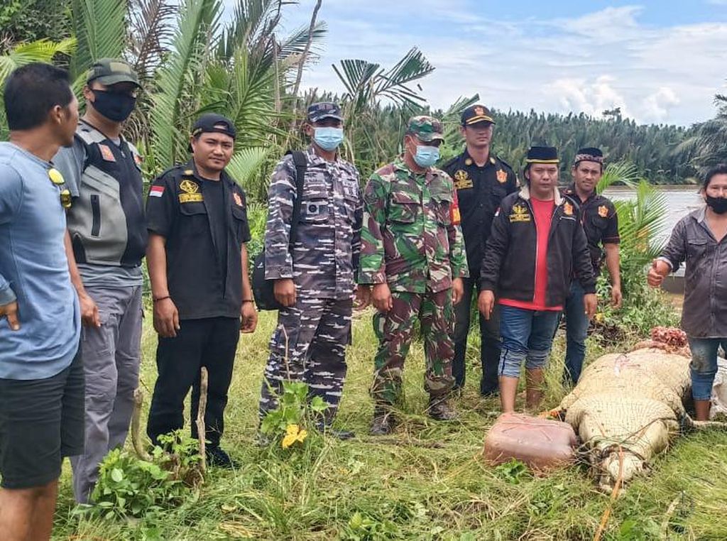 Libatkan Pawang, Begini Pencarian Bocah di Kaltim Diterkam Buaya 6 Meter Libatkan Pawang, Begini Pencarian Bocah di Kaltim Diterkam Buaya 6 Meter