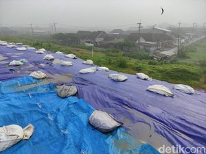 Tanggul Penahan Lumpur Sidoarjo Ditutup Terpal, Warga Cemas Ambles Tanggul Penahan Lumpur Sidoarjo Ditutup Terpal, Warga Cemas Ambles