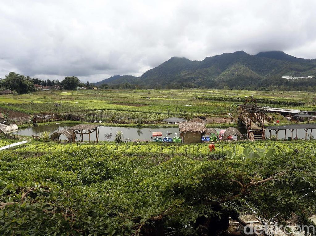 127 Desa di Pandeglang Masih Berstatus Tertinggal
