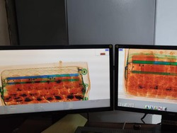 KKP Gagalkan Penyelundupan 23.942 Benih Lobster Berkedok Paket Garmen