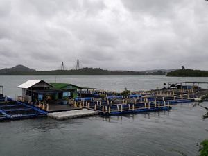 RI & Norwegia Mau Duet Kembangkan Budidaya Perikanan Ramah Lingkungan