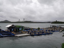 RI & Norwegia Mau Duet Kembangkan Budidaya Perikanan Ramah Lingkungan