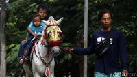 Raih Cuan di Masa Pandemi Lewat Jasa Wisata Kuda Tunggang