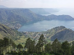 Gawat, Perubahan Iklim Bikin Pohon Kesulitan Bernapas