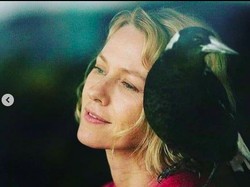 Deretan Film Hollywood Terbaru yang Dapat Disaksikan Streaming