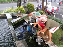 Tabrak Taman Kota Lalu Tercebur Kolam, Biker di Sidoarjo Tewas