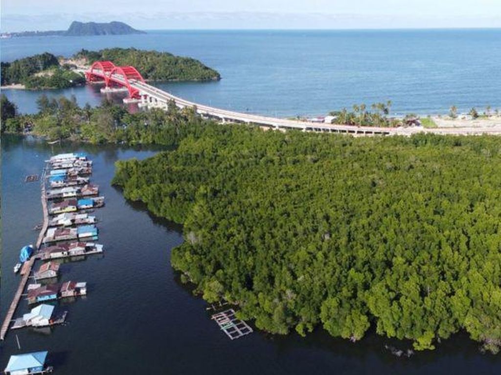 Kiprah Para Wanita Pelindung Hutan Perempuan di Papua Kiprah Para Wanita Pelindung Hutan Perempuan di Papua