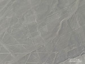 Terpesona Garis Nazca yang Misterius Terpesona Garis Nazca yang Misterius