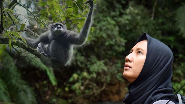 Potret Ayu Berjuang Selamatkan Keberadaan Owa Jawa