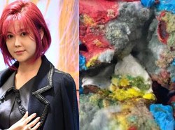 Solbi Idol Kpop Minta Maaf karena Produk Kuenya Dikritik Berjamur