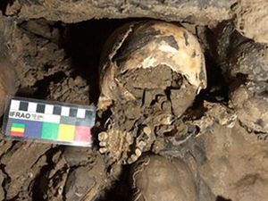 Tengkorak Wanita Ditemukan di Gua Terpencil, Ternyata Buat Ritual