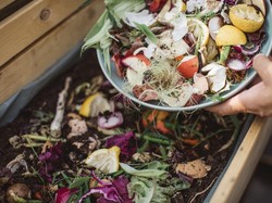 Tiap Rumah Tangga di Dunia Buang 74 Kg Makanan Setahun