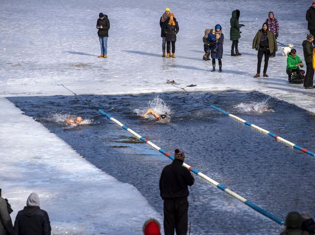 Brr... Lithuania Gelar Lomba Renang Dalam Es Lho Brr... Lithuania Gelar Lomba Renang Dalam Es Lho