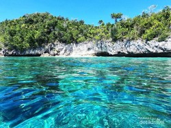 Tak Hanya Ikan, Ini 6 Potensi Sumber Daya Laut yang Ada di Indonesia