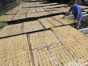 Geliat Perajin Kerupuk Opak di Tengah Pandemi Geliat Perajin Kerupuk Opak di Tengah Pandemi