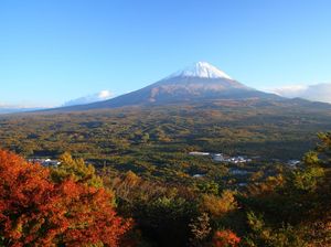 Foto: Aokigahara, Hutan yang Mengajak Bunuh Diri Foto: Aokigahara, Hutan yang Mengajak Bunuh Diri