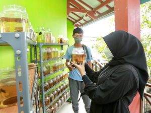 Mahasiswa Ini Raup Omzet Rp 30 Juta/Bulan dari Cupang Saat Pandemi Mahasiswa Ini Raup Omzet Rp 30 Juta/Bulan dari Cupang Saat Pandemi
