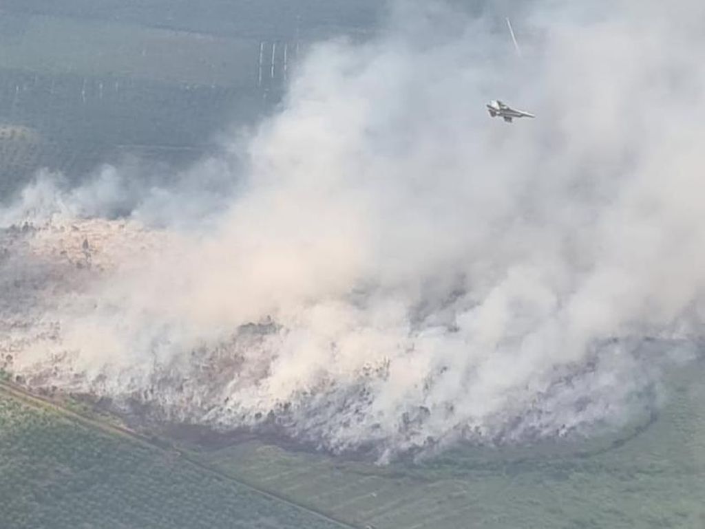 Dalam 6 Bulan, 62 Hektare Hutan di Jambi Terbakar