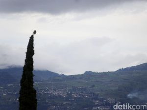 10 Hotel di Batu Malang dengan Harga Terjangkau, Mulai dari Rp 150 Ribuan