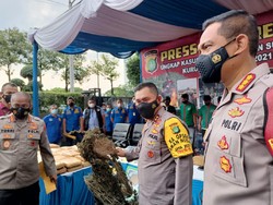 Termasuk Pemilik Ladang, Ini Peran 9 Pelaku Jaringan Ganja 114,5 Ton