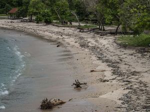 Celebrity on Vacation: Berkuda Sambil Menikmati Sunset di Pantai Kecinan Celebrity on Vacation: Berkuda Sambil Menikmati Sunset di Pantai Kecinan
