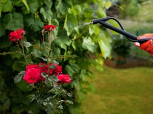 Sprayer Impor Tak Berizin Bertebaran, Pengusaha Minta Pengawasan Diperketat