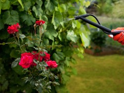 Sprayer Impor Tak Berizin Bertebaran, Pengusaha Minta Pengawasan Diperketat