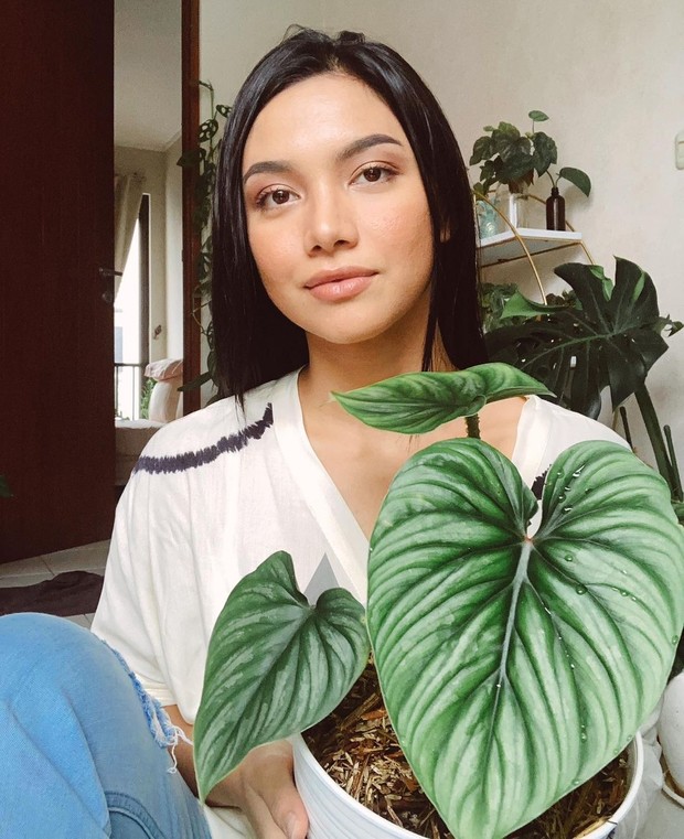 Angela Gilsha mengoleksi tanaman hias beraneka ragam/instagram.com/angelagilsha