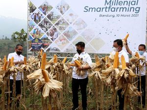 Milenial Smartfarming, Upaya BNI Kawal Pertanian Masa Depan