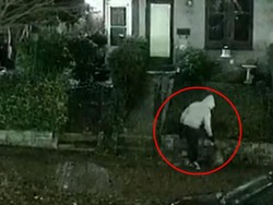 Rekaman Aksi Penaruh Bom Jelang Rusuh di Gedung Capitol AS