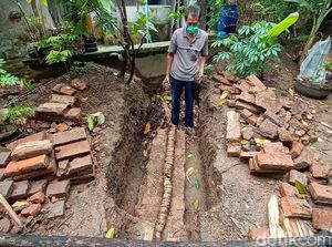 Bonggol Pisang Langka Berukuran 3 Meter yang Bikin Kaget di Kudus Bonggol Pisang Langka Berukuran 3 Meter yang Bikin Kaget di Kudus