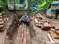 Langka! Warga di Kudus Temukan Bonggol Pohon Pisang Berukuran 3 Meter