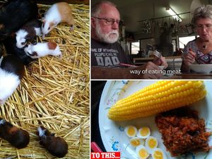 Duh! Pasangan Lansia Ini Beternak Tikus Belanda Untuk Dimakan