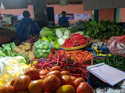 Parah Bun... Harga Cabai Sempat Rp 150.000, Lebih Mahal dari Daging Sapi