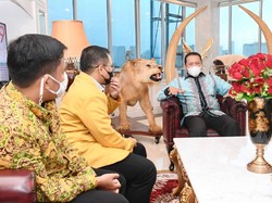 Indeks Demokrasi RI Capai Titik Terendah, Ini Kata Ketua MPR