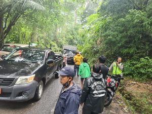 Pemotor di Maros Sulsel Tewas Tertimpa Pohon Tumbang Akibat Cuaca Ekstrem