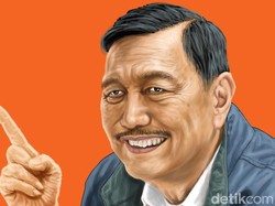 Bangun KI Hijau 12.500 Ha di Kaltara, Luhut: Ini Terbesar di Dunia