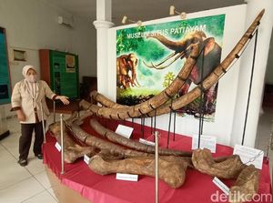Miris Banget, Begini Kondisi Museum Purbakala Patiayam Kudus